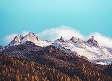 开云账号注册：一步开启云端新生活的全方位体验